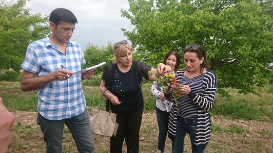 Group of people standing together and three women are looking at a bunch of flower and a man looking at his notepad