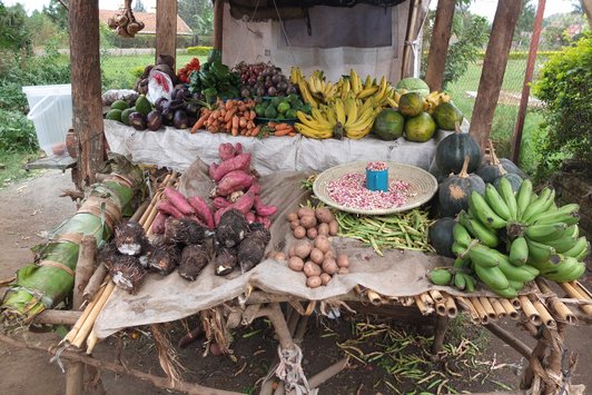 Small fruit and veg stall with various fruits and vegetables