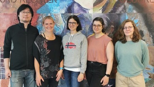 Der Alternativtext wird in Kürze eingefügt