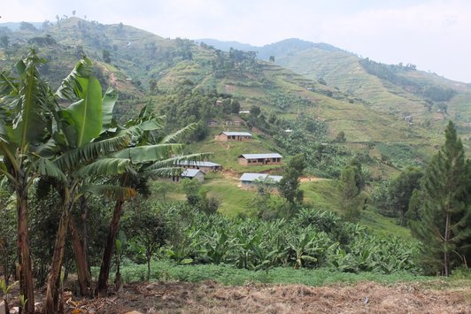 Green and hilly landscape with few houses