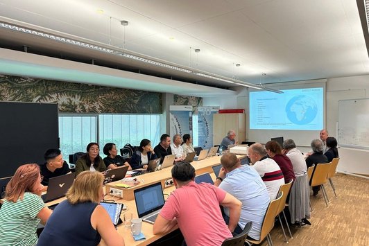 DEvision PMM and Module Revision Workshop at PLUS, Salzburg. July 2024