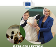 Deckblatt Data collection and analysis of Erasmus+ projects