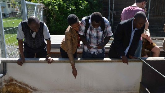 Group of peolple looking into a basin, woman pointing at something in it