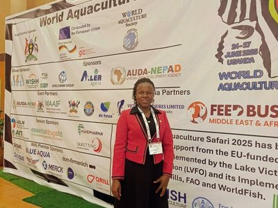 Der Alternativtext wird in Kürze eingefügt