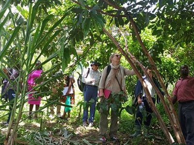 inspection of a multi-purpose live fence at the MMU 