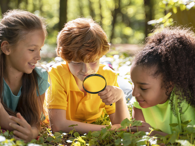 Drei Kinder erforschen mit einer Lupe den Wald.