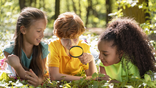 Drei Kinder erforschen mit einer Lupe den Wald.