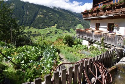Abbiildung eines bäuerlichen Hausgartens in Osttirol