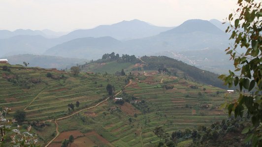 Green hilly landscape with fields and earthy roads