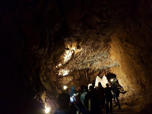 Eine Gruppenführung durch eine Grotte. Die Fotografin steht am Ende der Gruppe. Die Stalagmiten sind beleuchtet. 