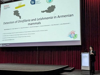 conference presentation