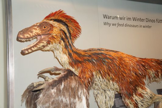 Dinosaurier; im Hintergrund Aufschrift "Warum wir im Winter Dinos füttern"