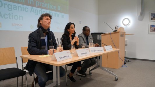 Two men and one woman sitting in front of a presentation projected on a wall