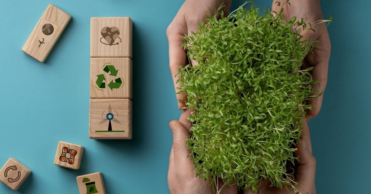 Erasmus+ und ESK Fachtagung 2025