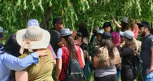 Group of people standing under trees