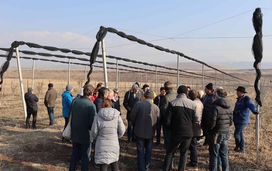 Visit to organic orchard