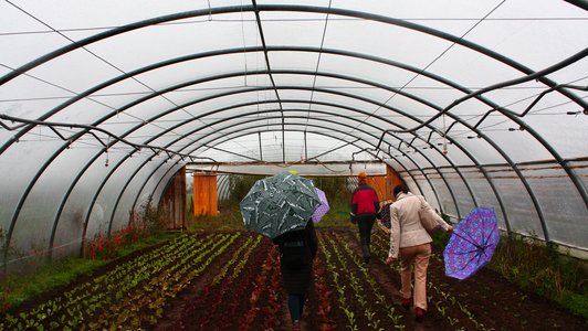visitors inspecting greenhouse at Ochsenherz farm