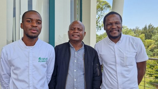 Der Alternativtext wird in Kürze eingefügt