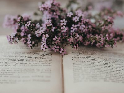 Offenes Buch mit rosa Blüten