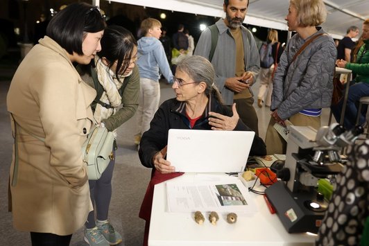 Der Alternativtext wird in Kürze eingefügt