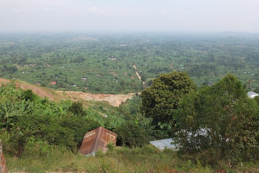 View of green landscape with few houses