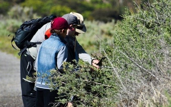 Erwachsener und Kind stehen bei einem Strauch und machen ein Foto