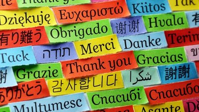 Dankeschön-Wortwolke, gedruckt auf buntem Papier in verschiedenen Sprachen