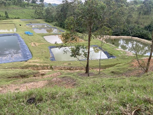 Ruhandagazi Fry Centre