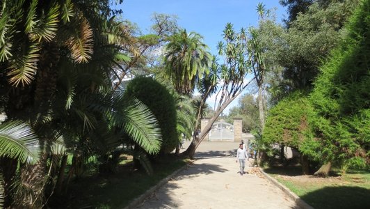 Path between trees, bushes and grass where some people walk