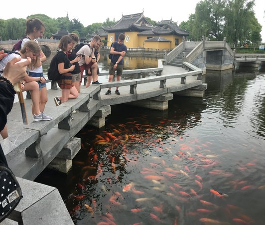  Pond with koi fish and students standing on a concrete bridge over the pond and taking photos