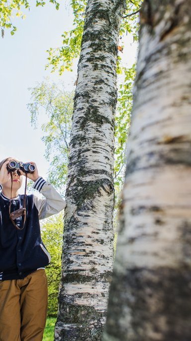 Junge benutzt sein Fernglas im Park neben vier Bäumen