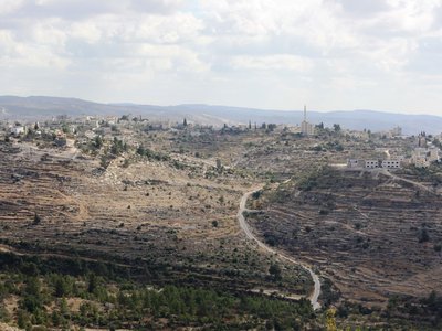 Dry landscape with trees and white buildings in the distance