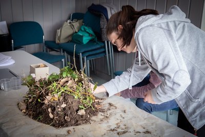 Ein Mädchen untersucht einen Haufen Erde. 