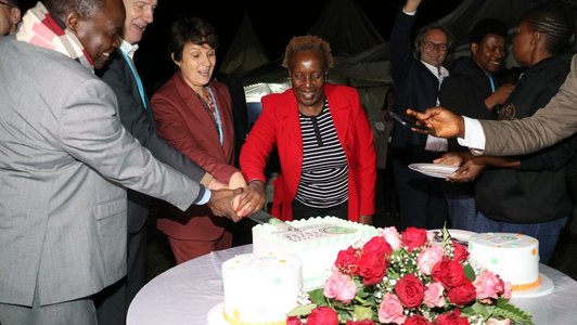 cutting the cake during reception by BOKU