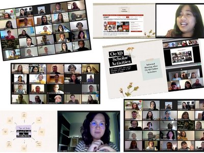 Collage von mehreren Screenshots des Online Meetings