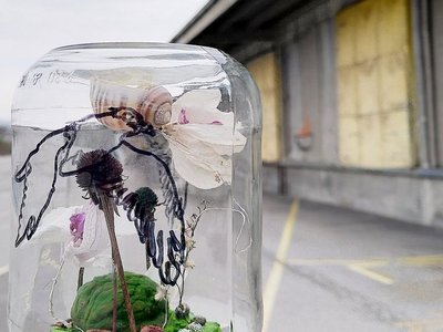 In einem Gurkenglas wurde mittels natürlichen Materiealien eine kleine und bunte "Welt" hergestellt. Zu diesen Materialien gehören unter anderem ein Schneckenhaus, Moos und getrocknete Blumen. Auf dem Gurkenglas wurde mit Marker ein Vogel gezeichnet.