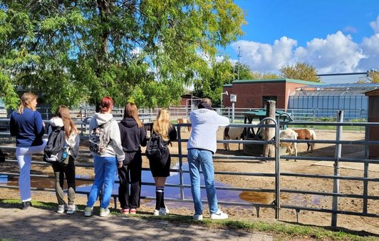 Schüler/innen auf einer Ranch mit Pferden