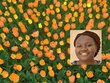 Portrait of Anne Birundi with yellow and orange tulips in the background