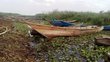 Fishing boats in green surroundings