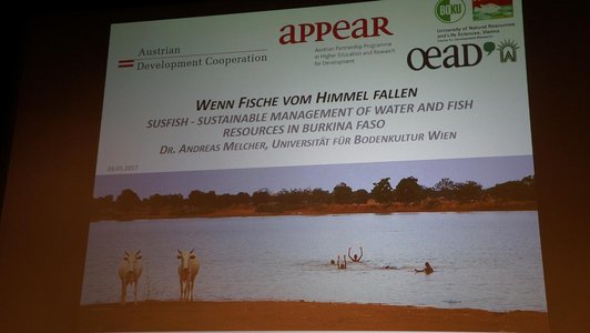 The picture shows a screenshot  - the title reads "Wenn Fische vom Himmel fallen - Susfish - Sustainable management of water and fish resources in Burkina Faso"