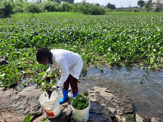 Der Alternativtext wird in Kürze eingefügt