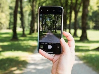Hand mit Smartphone vor Bäumen, Bäume auch am Display