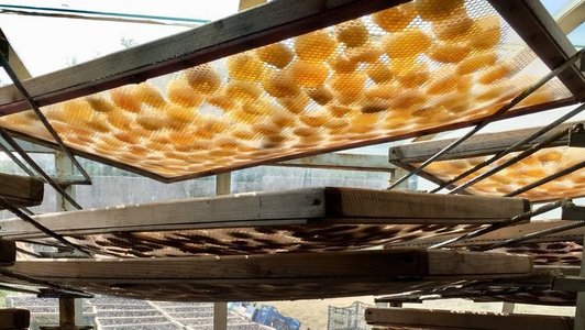 Dried fruits lying on grids for desiccation