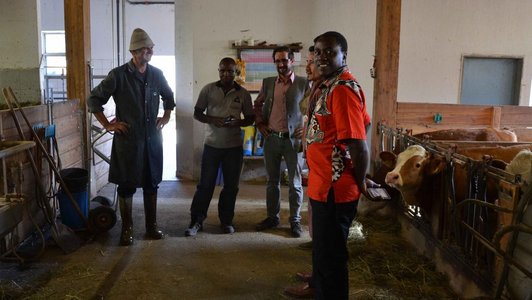Four people and a farmer standing in the cow barn