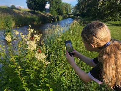 Mädchen fotografiert Schmetterlinge am Bach