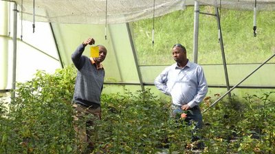 Der Alternativtext wird in Kürze eingefügt