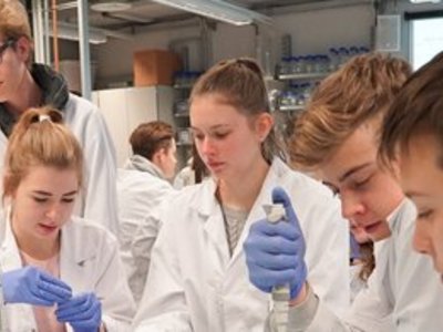 Schülerinnen und Schüler in Labormänteln experimentieren mit Pipetten und Reagenzgläsern