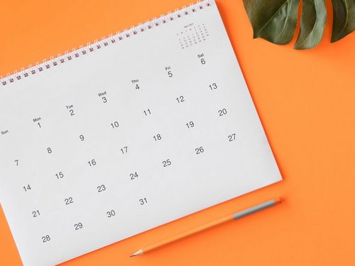 Kalender liegt auf orangener Unterlage, daneben sieht man ein Monstera Blatt