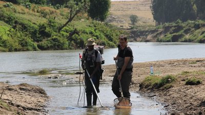 Der Alternativtext wird in Kürze eingefügt