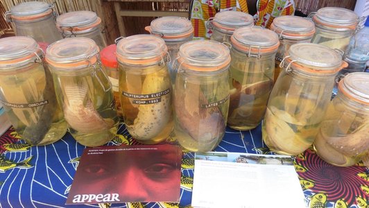 Pickled fish in glasses standing on a market stall and a APPEAR and an other information flyer 